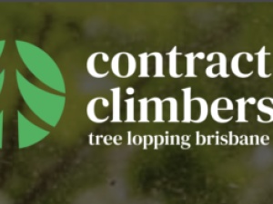 Contract Climbers Tree Lopping Brisbane