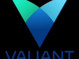 Laravel Development Company - Valiant Technosoft