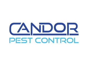 Candor Pest Control