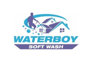 Water Boy Soft Wash