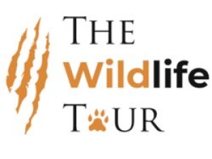 Wildlife Tour India -The Wildlife Tour