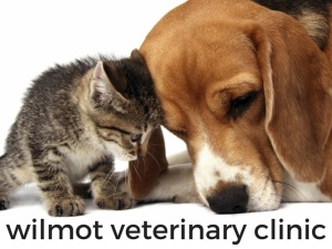 Wilmot Veterinary Clinic