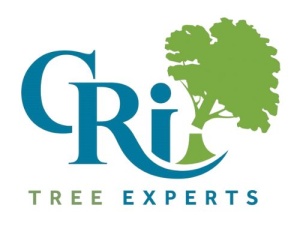 CR Tree Experts