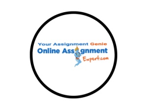 Online Assignment Expert