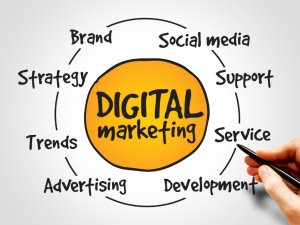 Professional Digital Marketing Company in Jaipur