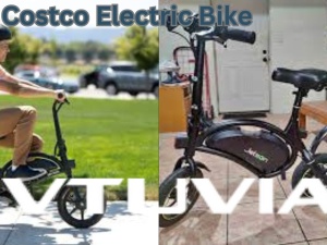 Costco Electric Bike