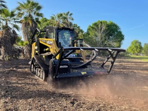 Georgia Brush Mulching