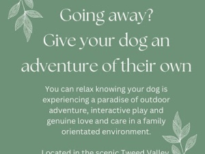 Tweed Valley Pet Retreat