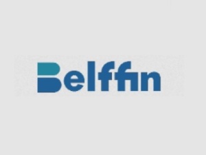 belffin-Comfortable pull-out sleeper sofa