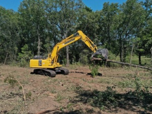 Bama Land Clearing