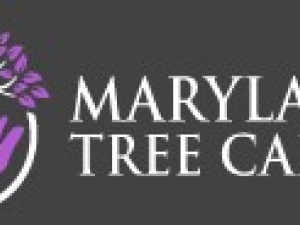 Maryland Tree Care 