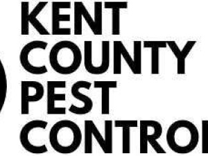 Kent County Pest Control