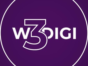 W3Digi's Professional Website Development Services