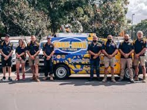 Termite Pest Control Sydney - Knockdown Pest Contr