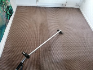 Galaxy Carpet Cleaning