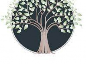 Scullion Tree Care Ltd