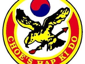 Choe's HapKiDo Martial Arts - Cumming