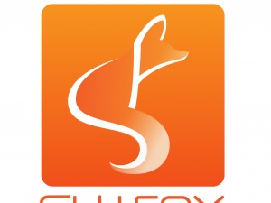 SlyFox Web Design & Marketing Hamilton