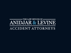 The Law Firm of Anidjar & Levine, P.A.