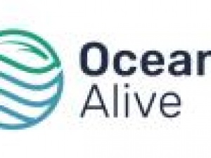 Oceans Alive Health