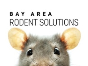 Bay Area Rodent Solutions