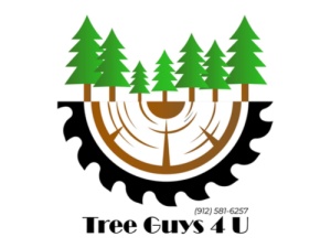 Tree guys 4 U