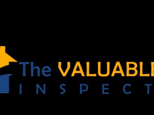 The Valuable Lead Inspectors