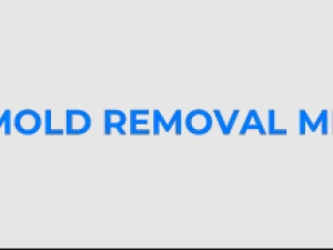 Mold Removal Memphis