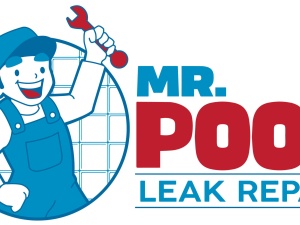 Mr. Pool Leak Repair - McKinney