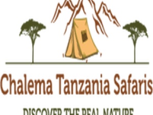 Chalema Tanzania Safaris