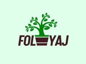 Foliyaj