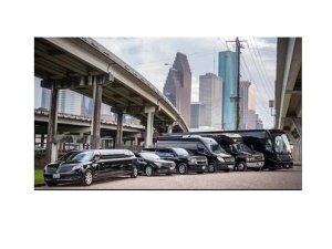 Limousine and transportation services are