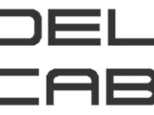 CAT6A Patch Panels | Delco Cables