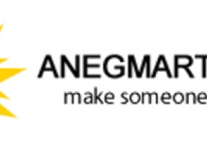 Anegmart