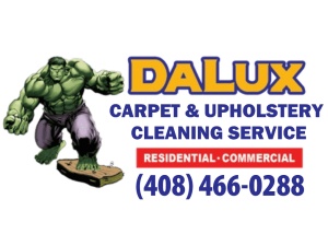 Dalux Carpet Cleaning