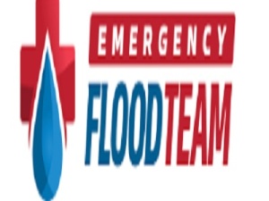 Emergency Flood Team