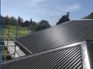 Lanziu Roofing