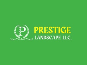 Prestige Landscape