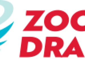 Zoom Drain 