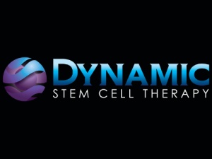 Dynamic Stem Cell...