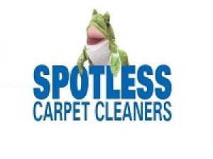 Sportless Carpet ...