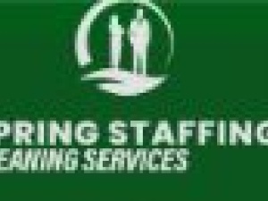 Spring Staffing Limi