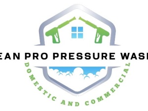 Clean Pro Pressure W