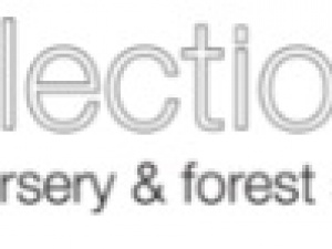 Reflections Nursery & Forest School