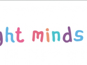 Bright Minds North East Ltd