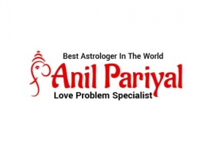 Best Pandit in Chandigarh - Pandit Anil Pariyal