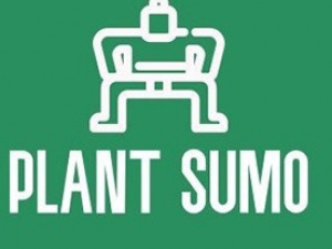 Plant Sumo