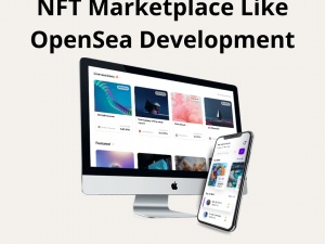 Develop An NFT Marketplace Like OpenSea