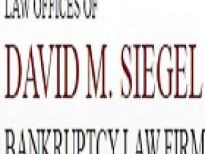 David M. Siegel - Chicago Bankruptcy Lawyer
