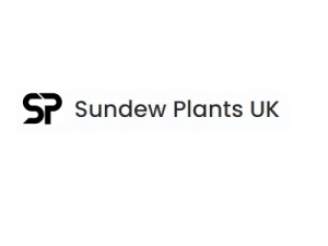 Sundew Plants UK